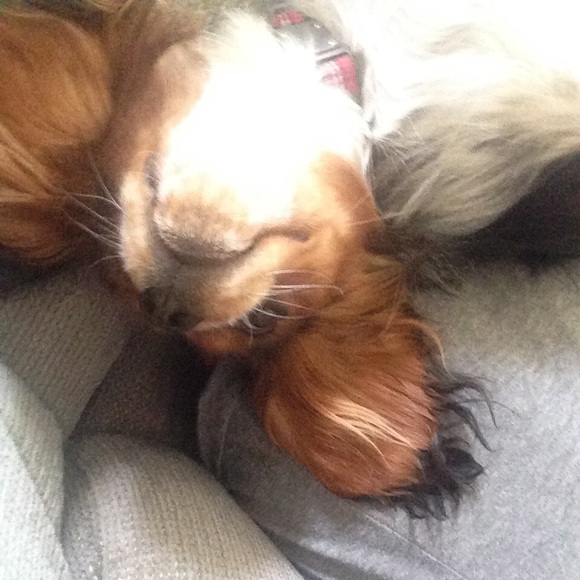 Meet your Posher, Marysha - Picture 1 of 1